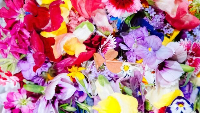 Eetbare bloemen kopen: kleurrijke mix van eetbare viooltjes, goudsbloemen en andere bloemen