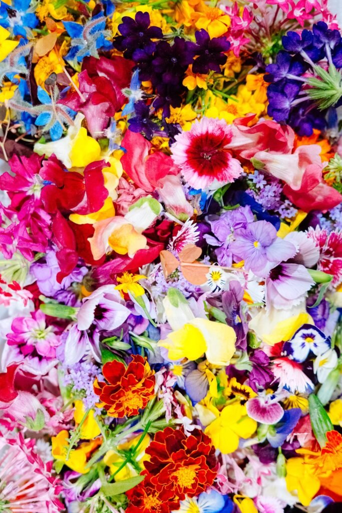 Eetbare bloemen kopen: kleurrijke mix van eetbare viooltjes, goudsbloemen en andere bloemen